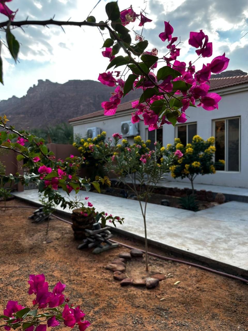 فيلا بمزرعة Al Ula Bagian luar foto